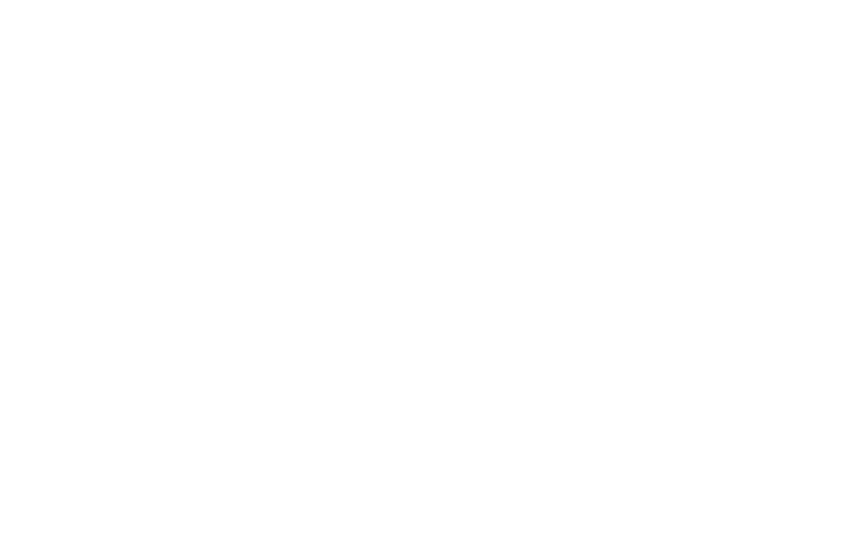 Custom Nest Interior